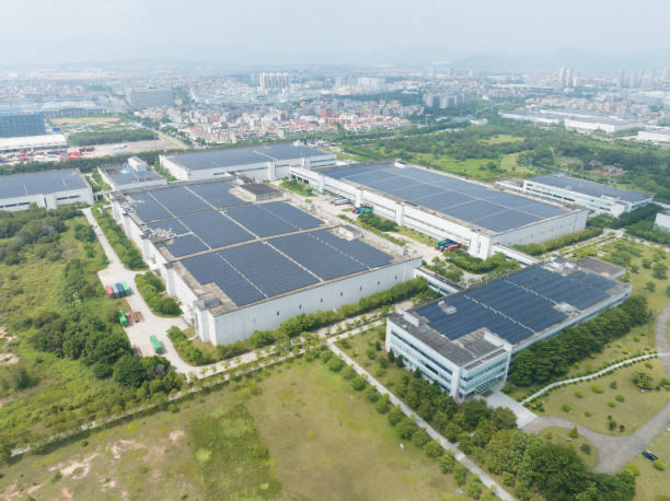 Green combine harvester in a dry corn field